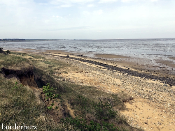 Amrum - Rundwanderung Steenodder Kliff 5 Steenodder Kliff