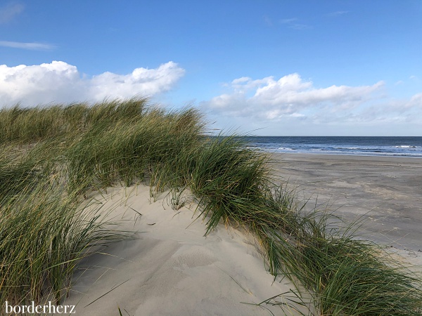 Borkum sehen, erleben, fühlen, schmecken 33 Dünen Borkum